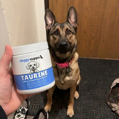Kalora™ Taurine